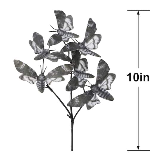 10" Grey Moth Pick by Ashland®